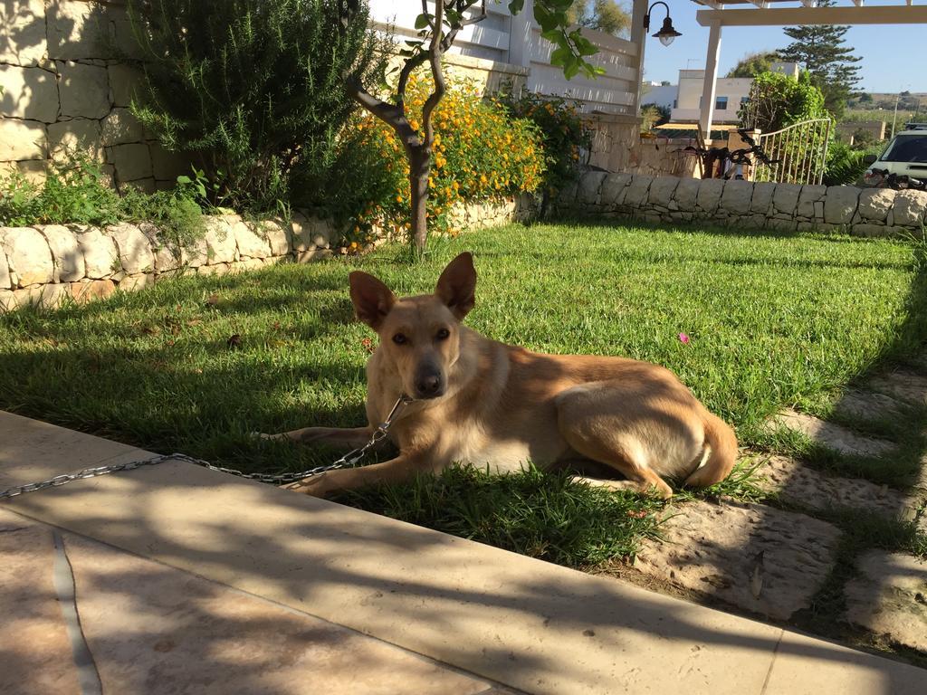 Casa Mia Villa Donnalucata  Kültér fotó